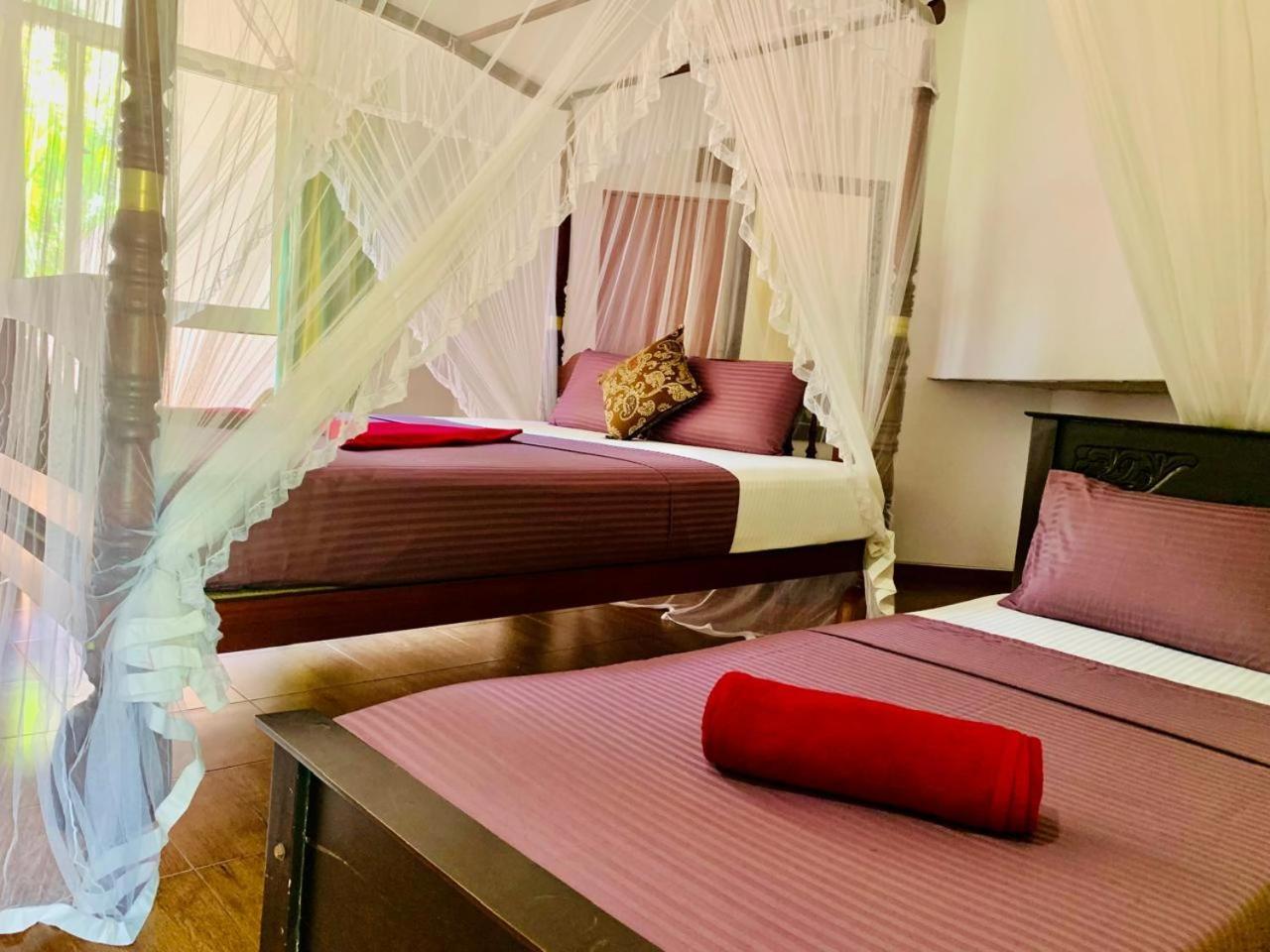 Hotel Poppies Mirissa Zewnętrze zdjęcie