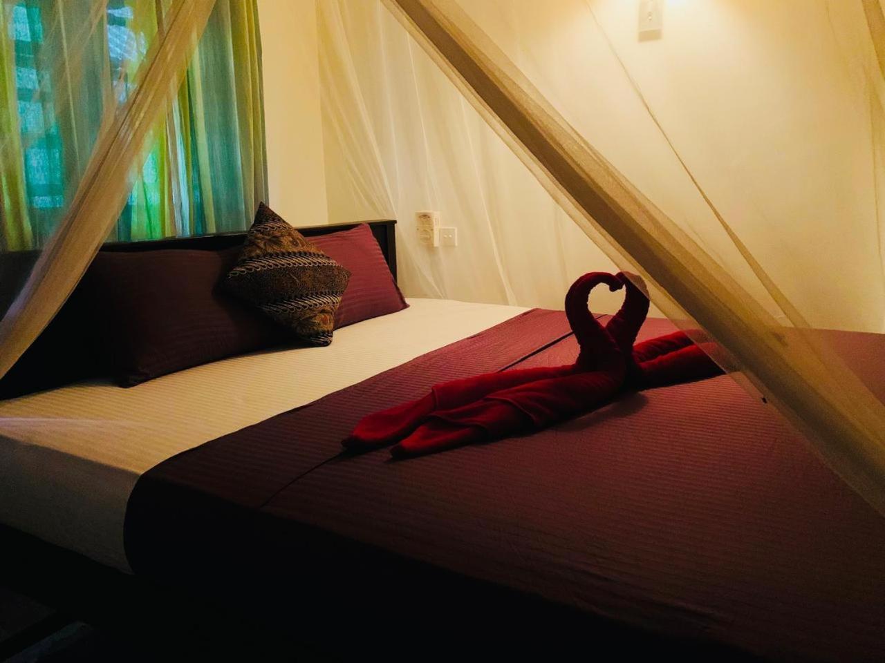 Hotel Poppies Mirissa Zewnętrze zdjęcie