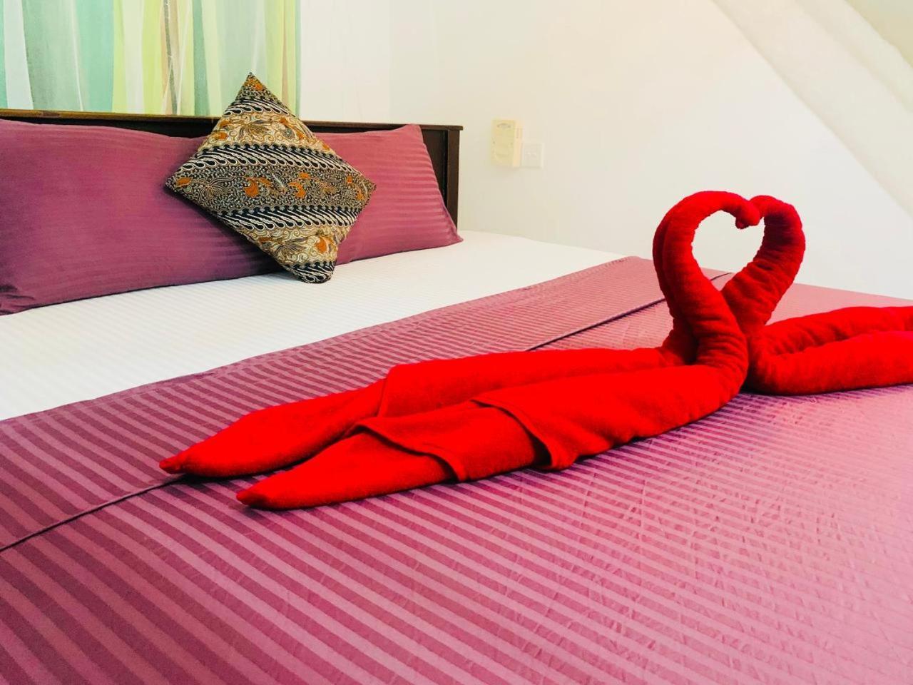 Hotel Poppies Mirissa Zewnętrze zdjęcie